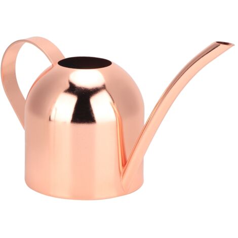 Arrosoir en Acier Inoxydable 500ml, Bec Long pour Arrosage Précis - Plantes d'Intérieur et d'Extérieur, Finition Or Rose (1/5)