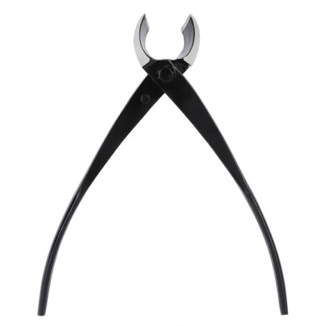 Cisailles de Jardin Acier 210mm pour Branches Épaisses - Outils Bonsai et Taille (1/5)