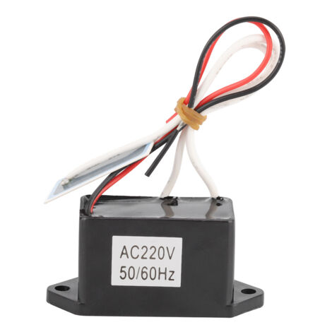Générateur d'Ozone 200mg/h Purificateur d'Air DIY 220V-240V (1/5)