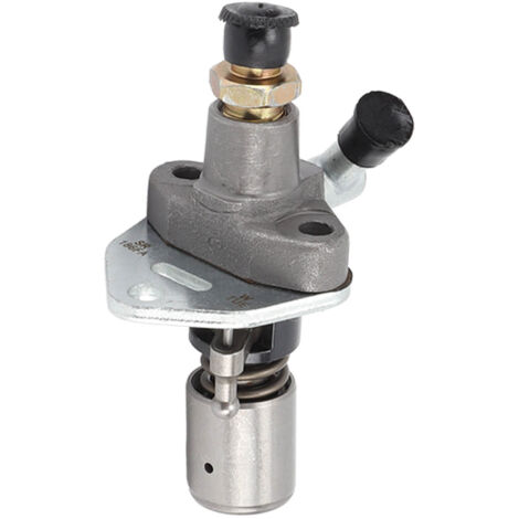 Pompe à injection diesel 186FA avec gicleur droit et buse à huile pour moteur diesel refroidi par air - Accessoire de mise à niveau (1/5)
