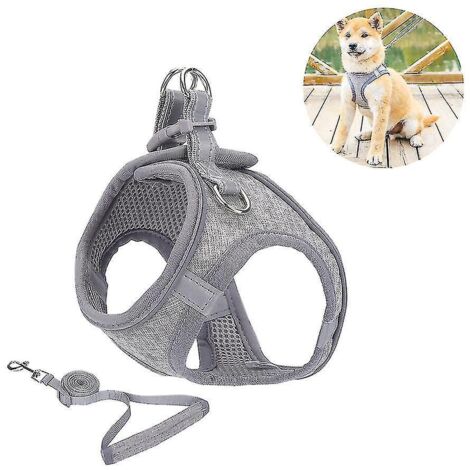 Harnais pour petit chien, harnais pour chiot, ensemble harnais et laisse souples avec collier réfléchissant - XS (1/3)