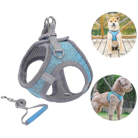 Harnais pour petit chien, harnais pour chiot, ensemble harnais et laisse souples avec collier réfléchissant - Grand (1/3)