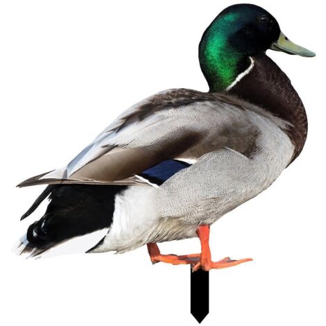 Décoration de canard Farfi réaliste et ornementale, impression recto verso, style rustique, en acrylique, pour jardin - C (1/5)