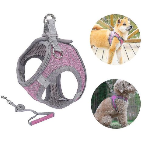 Harnais pour petit chien, harnais pour chiot, ensemble harnais et laisse souples avec collier réfléchissant - Grand (1/3)