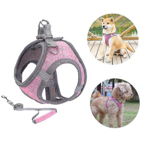 Harnais pour petit chien, harnais pour chiot, ensemble harnais et laisse souples avec collier réfléchissant - M