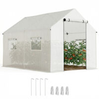 Serra a Tunnel 2x3x2 m avec Porte et Finestre Avvolgibili et Tetto a Punta, à Acciaio et PE, Bianco