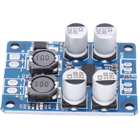 Carte Amplificateur Audio Numérique 60W Mono TPA3118, Alimentation 8-24V DC, Module Électronique Haute Puissance (1/5)