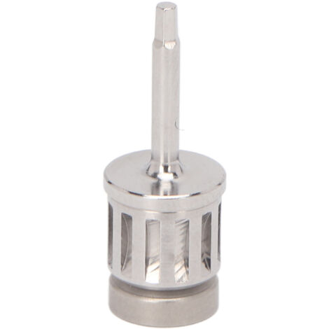 Tournevis pour Implants Dentaires en Acier Inoxydable - Outil Professionnel pour Cliniques Dentaires 20mm (1/5)
