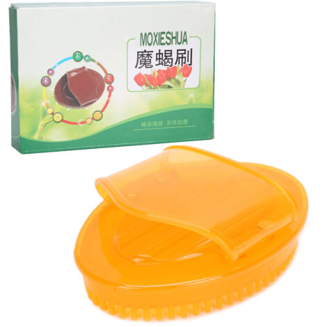 Brosse de Massage Méridiens pour Relaxation Corporelle et Application d'Huiles Essentielles (1/5)