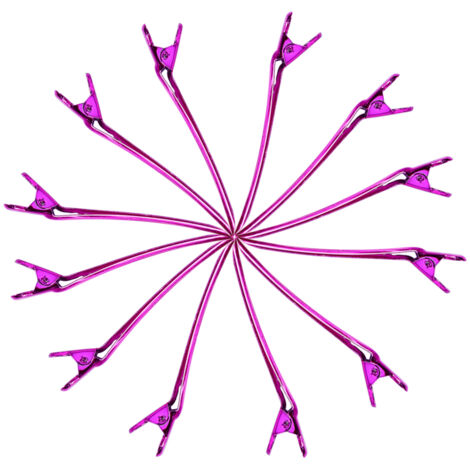 12 Pièces Pinces à Cheveux Professionnelles pour Coiffure, Accessoires Salon (Rouge Rose) (1/5)