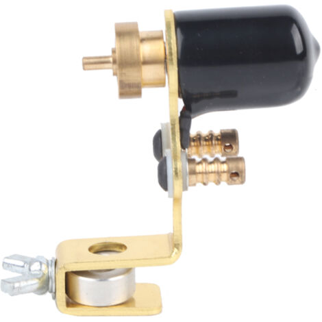 Machine de Tatouage Professionnelle Pistolet Liner Shader pour Maquillage Permanent (1/5)