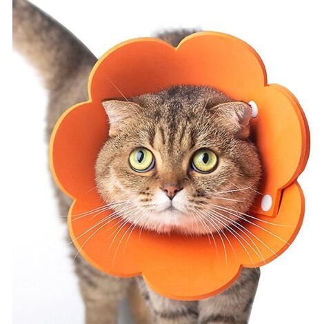 collier De Protection Orange Pour Chat Lisabthain, Taille Unique (1/5)
