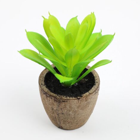 lot De 2 Rpliques De Succulentes Artificielles En Plastique Avec Pot De Fleurs 12cm (1/5)