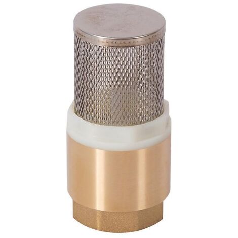 kit De Filtre D'aspiration, 3/4", Messing, Clapet De Pied Avec Clapet Anti-retour (1/5)