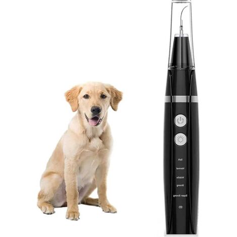 brosse Dents Lectrique Pour Chiens - Dtartreur Dentaire Chien, Outils De Toilettage Antidrapante Animaux Compagnie Kit D'outils Soins Dentaires (1/5)