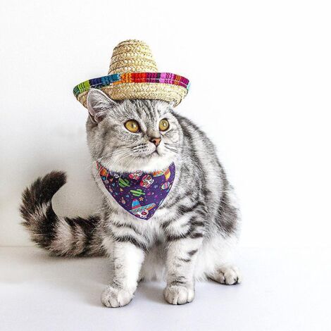 chapeau De Paille Pour Animaux De Compagnie - 1 Pice Chapeau Sombrero Mexicain - Dcoration D'anniversaire Pour Petits Animaux De Compagnie, Chiots (1/5)