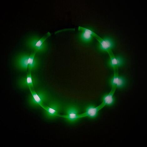 collier Lumineux Pour Chiens, Collier De Chien Led Rechargeable Usb, Clignotant Collier De Scurit Rglable Pour Petit, Moyen Et Grand Chien, Vert (1/5)