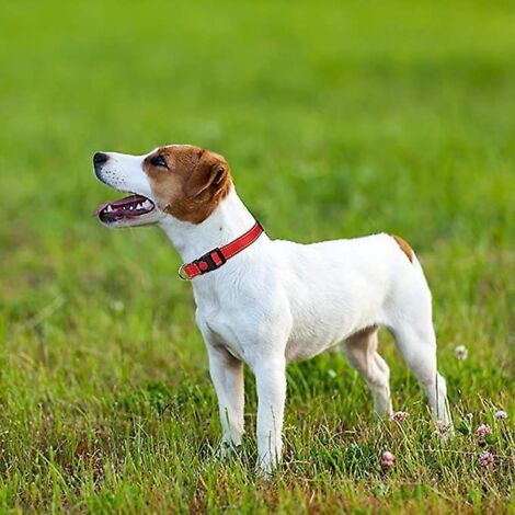 1picecollier Pour Chien, Collier En Nylon Rflchissant Rglable Classique Avec Rembourr Doux Respirant Mesh Pour Petits Chiens, Rouge (1/4)