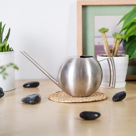 1000ml Stainless Steel Watering Can With Long Spout For Kitchen, Herbs And Gardens, Plants (1/5)