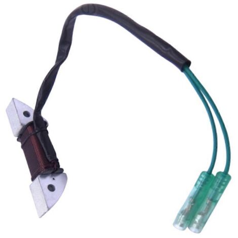 Bobine de charge d'alternateur pour moteur de bateau Tohatsu 8 CV 9,8 CV (1/5)