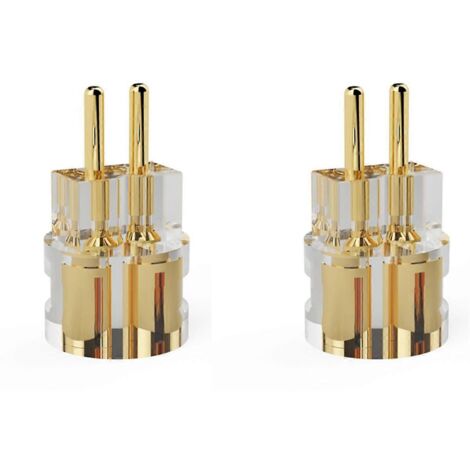 Adaptateur de prise casque 2 broches 0,78 mm plat vers 0,78 mm avec rainure (1/5)