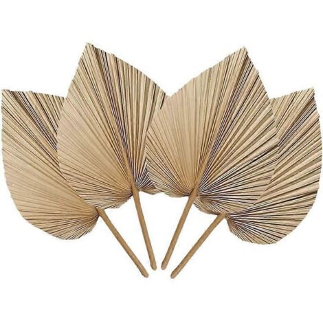 4 feuilles de palmier séchées naturelles, parfaites pour la décoration. (1/5)