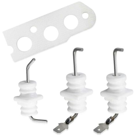 Kit d'électrodes pour flamme 104000192-K, pièces pour R75-- (1/5)