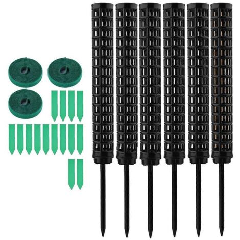 Tuteur pour Monstera, bâtonnet en mousse, 6 tuteurs pour plantes -- (1/5)