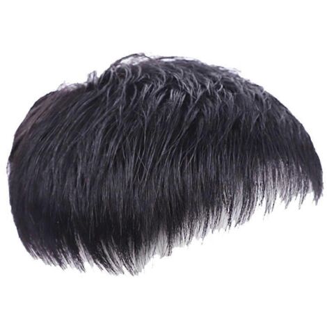 Perruque courte noire naturelle pour homme, perruque lisse à clip (A) (1/5)