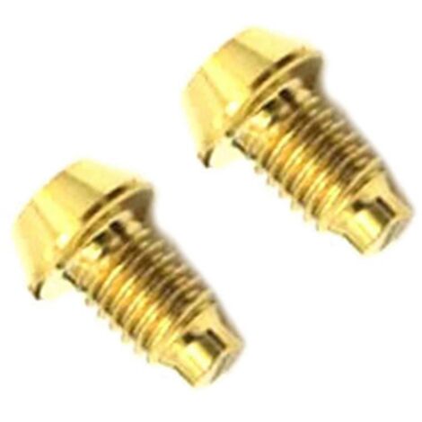 2 vis de frein à disque hydraulique TC4 pour vélo - Or (1/5)