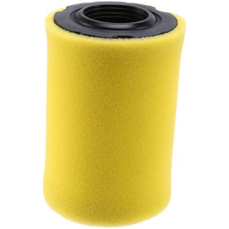 796031 Air Filter For And Stratton With Pre Filter-- (1/5)