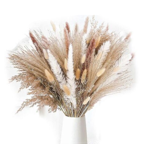 85PcsPampas Grass Decorative Vase Home Design Arrangements-- (1/5)