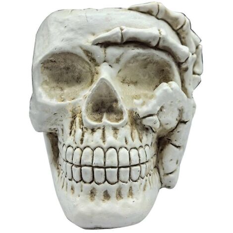 Home Decoration Skull Flower Pot, Garden Plant Pot(A)-- (1/5)