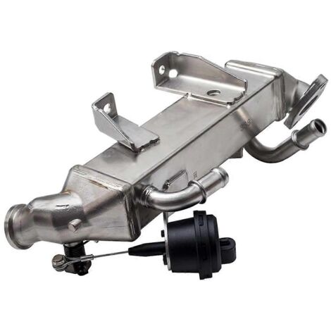 Vanne EGR de refroidissement pour Master MK3 Espace MK4 MK3--