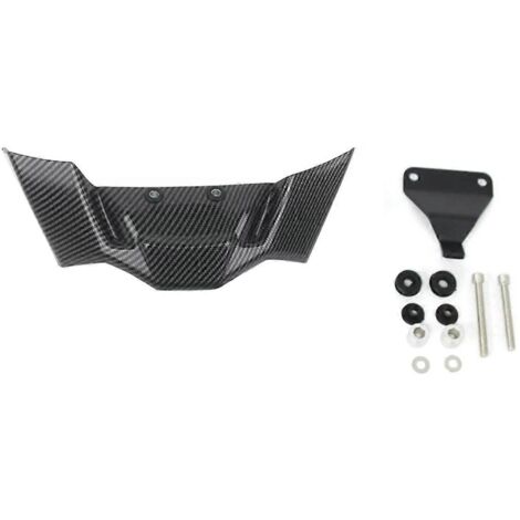 Carénage d'aileron en fibre de carbone pour BMW S1000R 2021-2023 (1/5)