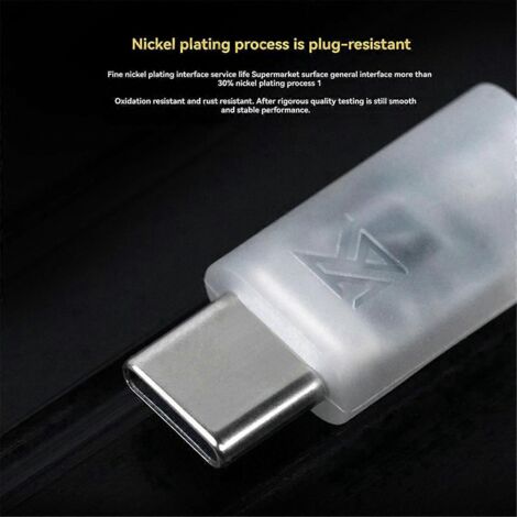 Câble micro de mise à niveau USB-C plaqué argent à 2 broches (1/5)