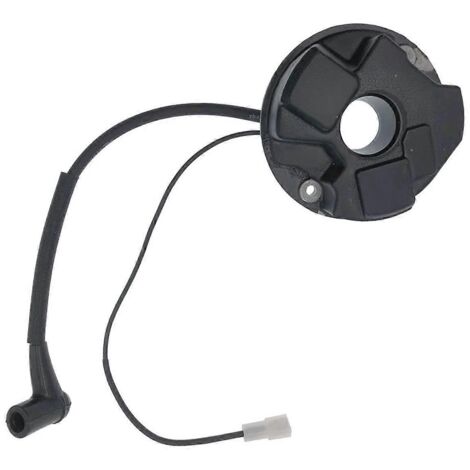Bobine d'allumage 501831901 pour 265RX 165R 165RX 2100 2101-- (1/5)