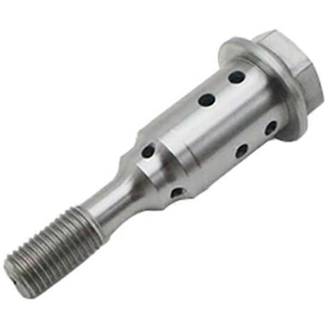 Vis de réglage centrale du moteur 55247723 pour Fiat et Jeep (pièces automobiles) (1/5)
