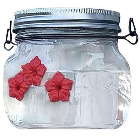 Mangeoire à oiseaux Mason Jar (1 paquet) avec ouverture pour nourrir les fleurs, type bocal-- (1/5)
