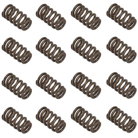 Ressorts de soupape Pac1218-16 pour LS1 LS3 LS6 4.8 5.3 6.0 6.2L-- (1/5)