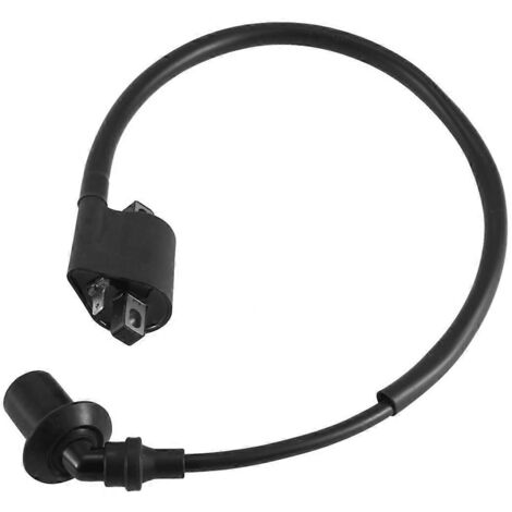 Bobine d'allumage avec fil et capuchon de bougie 0180-152000 pour CF188 CF500-- (1/5)