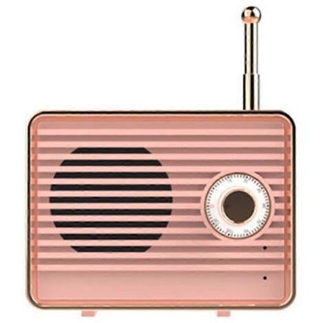 Enceinte portable d'extérieur sans fil, mini stéréo, son surround, caisson de basses (1/5)