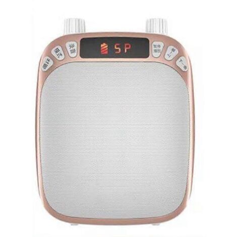 Amplificateur vocal rechargeable avec micro-casque filaire et ceinture (1/5)