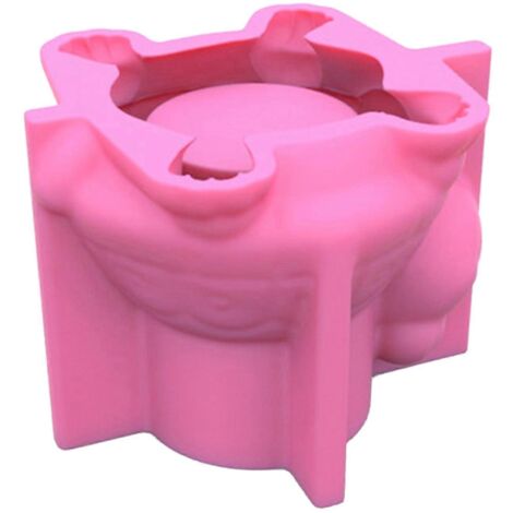 Moule en silicone en forme de tortue pour pot de fleurs en résine représentant une tortue (1/5)
