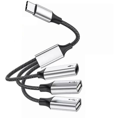 Hub USB-C ultra-rapide de 25 cm avec ports USB-C et USB 2.0 et alimentation de 60 W - 1 port USB-C, 2 ports USB-C (1/5)