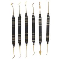 6 pièces Spatule à Résine Composite Dentaire pour Obturation et Instrumentation
