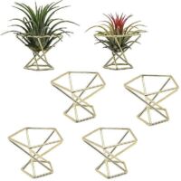 6 Pcs Geometric Air Plant Holder Airplants Rack Metal Plants Stand--