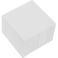 100 cartes plastiques en PVC avec marquage à chaud et impression recto verso
