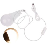 Ampoule USB à économie d'énergie pour stands de marché nocturne et alimentation mobile