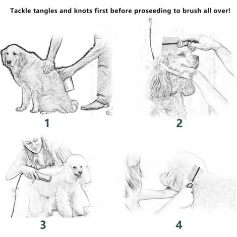 Brosse de toilettage pour animaux de compagnie, en acier